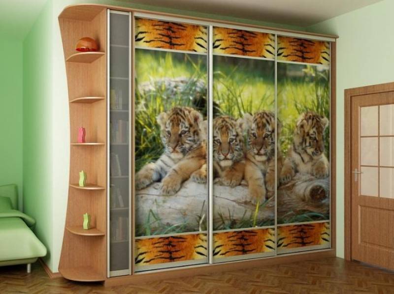 шкаф-купе 23 в Нижневартовске