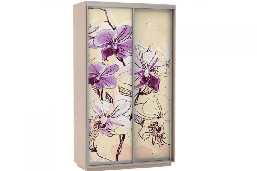 шкаф дуо фото в Нижневартовске