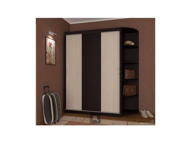 шкаф-купе в прихожую без зеркал №3 в Нижневартовске