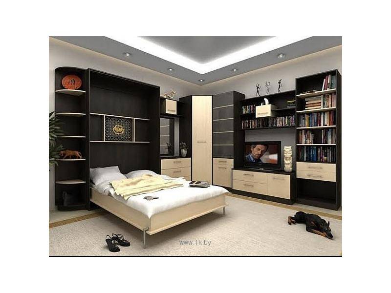 стильная мебель трансформер для гостиной в Нижневартовске