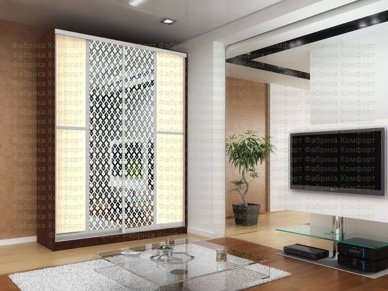 шкаф-купе аристо 3 в Нижневартовске