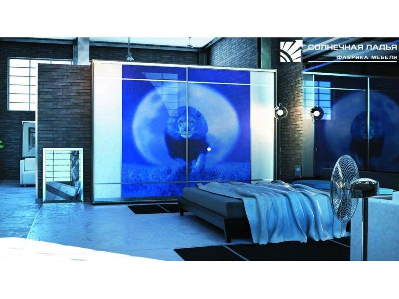 шкаф - купе для спальни 10 в Нижневартовске