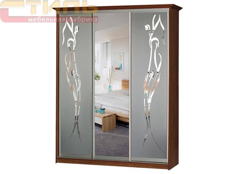 шкаф-купе концепт 27 в Нижневартовске