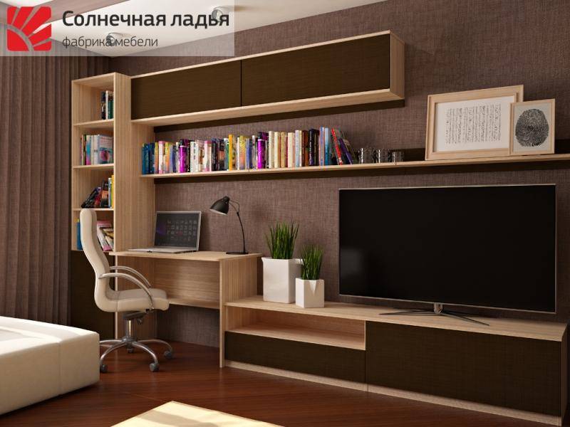 шкаф - купе для гостиной 13 в Нижневартовске