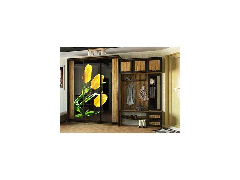 прихожая со шкафом-купе в Нижневартовске