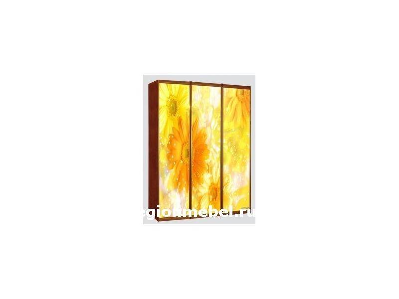 красочный шкаф-купе в Нижневартовске