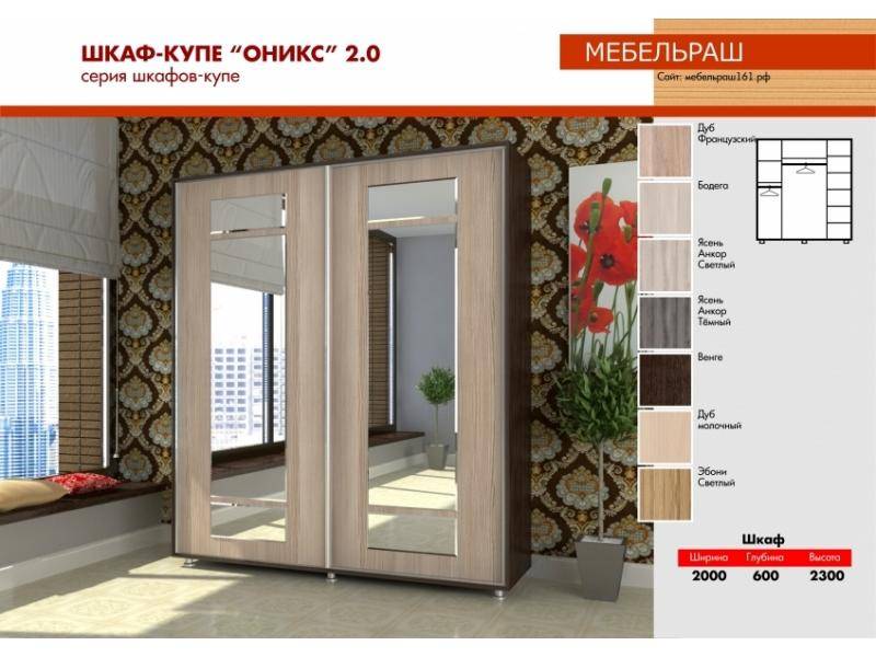 шкаф-купе прямой с зеркалами оникс 2.0 в Нижневартовске
