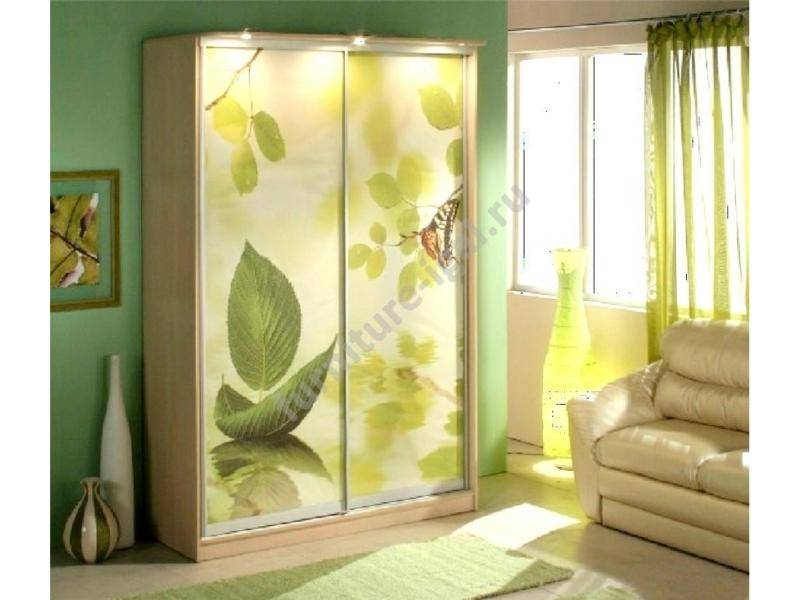 красивый шкаф-купе с фотопечатью в Нижневартовске