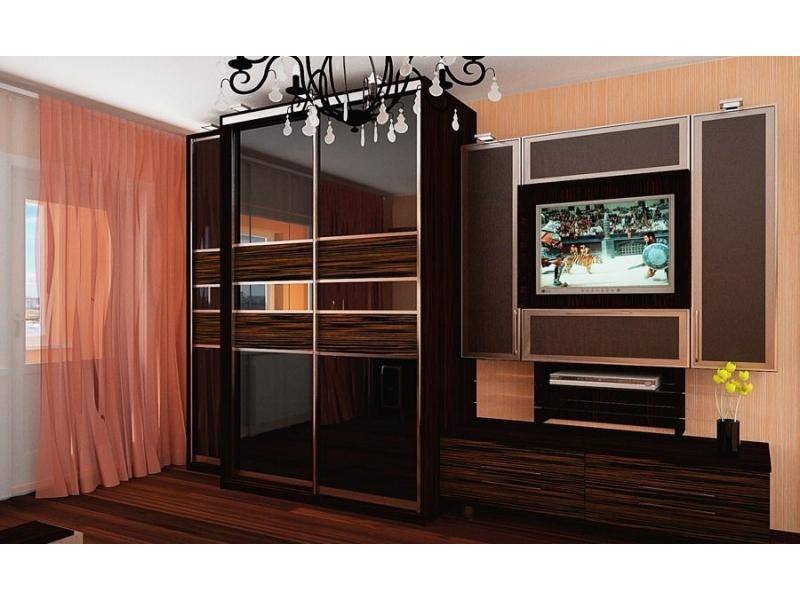 шкаф-купе в темном цвете в Нижневартовске