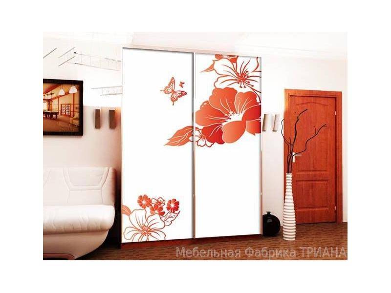 красивый шкаф-купе с цветами эпсилон ту в Нижневартовске