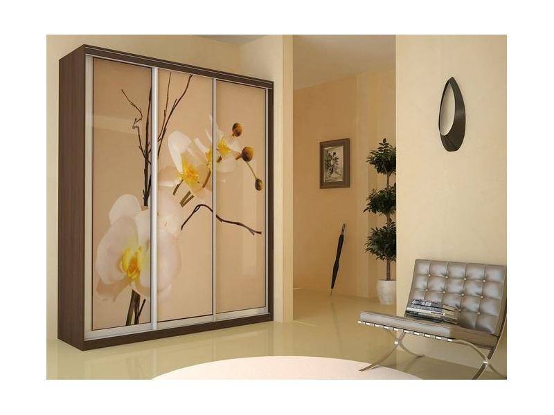 шкаф-купе 3-х створчатый с фотопечатью в Нижневартовске