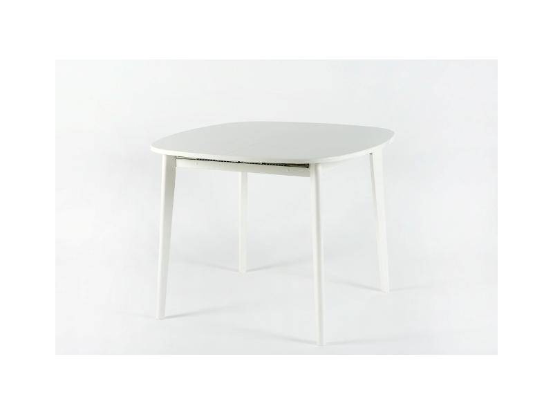 стол обеденный раскладной пион в Нижневартовске