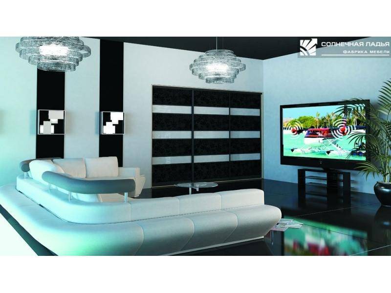 шкаф - купе для гостиной 43 в Нижневартовске