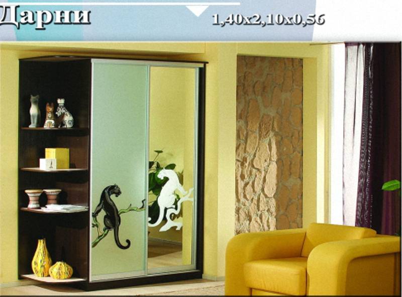 шкаф-купе «дарни» в Нижневартовске