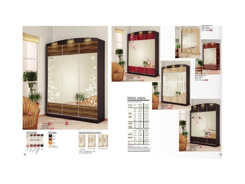 шкаф-купе с зеркалом в Нижневартовске