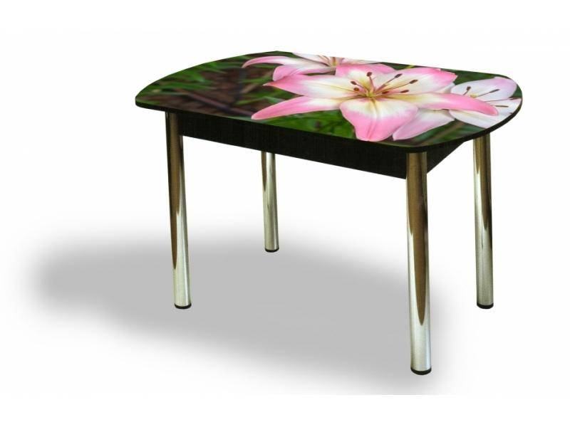 стол европейский с фотопечатью чс 8 в Нижневартовске