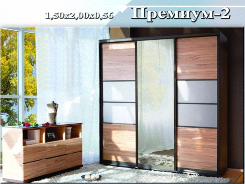 шкаф-купе «премиум 2» в Нижневартовске