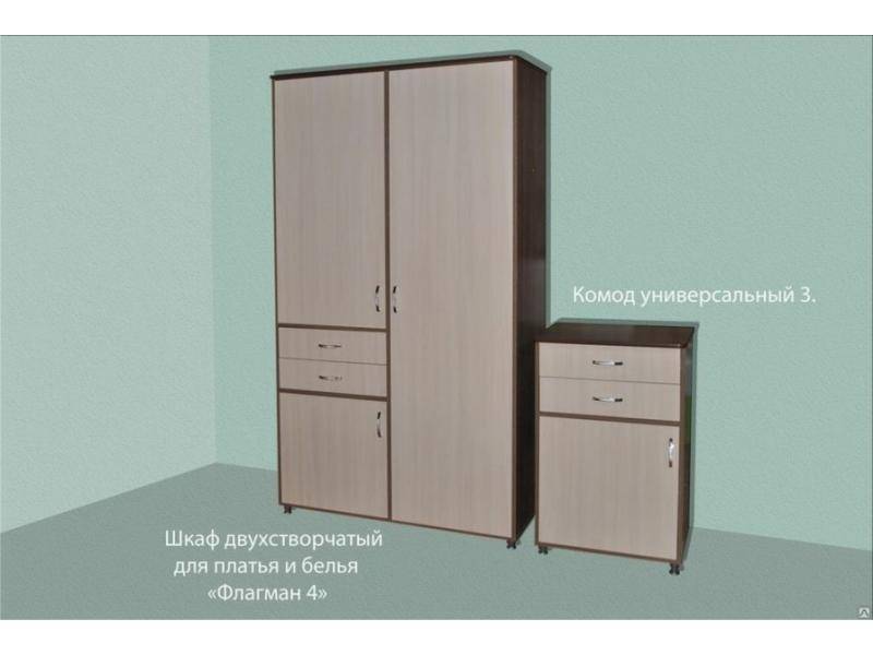 шкаф двухстворчатый для платья и белья флагман 4 в Нижневартовске