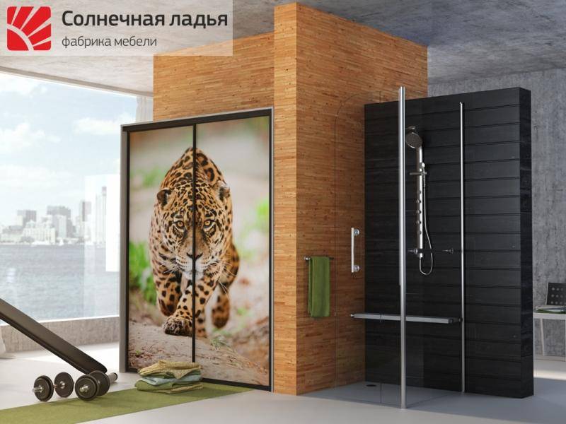 шкаф - купе фотопечать 4 в Нижневартовске