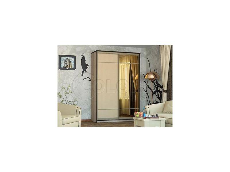 шкаф-купе двухдверный в Нижневартовске