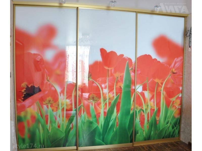 шкаф-купе в Нижневартовске