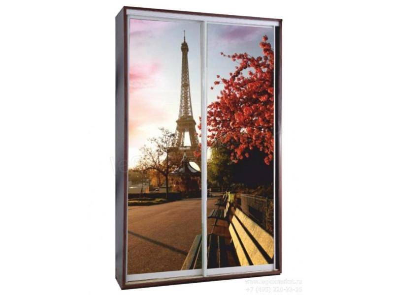 шкаф-купе 2-х створчатый с фотопечатью в Нижневартовске