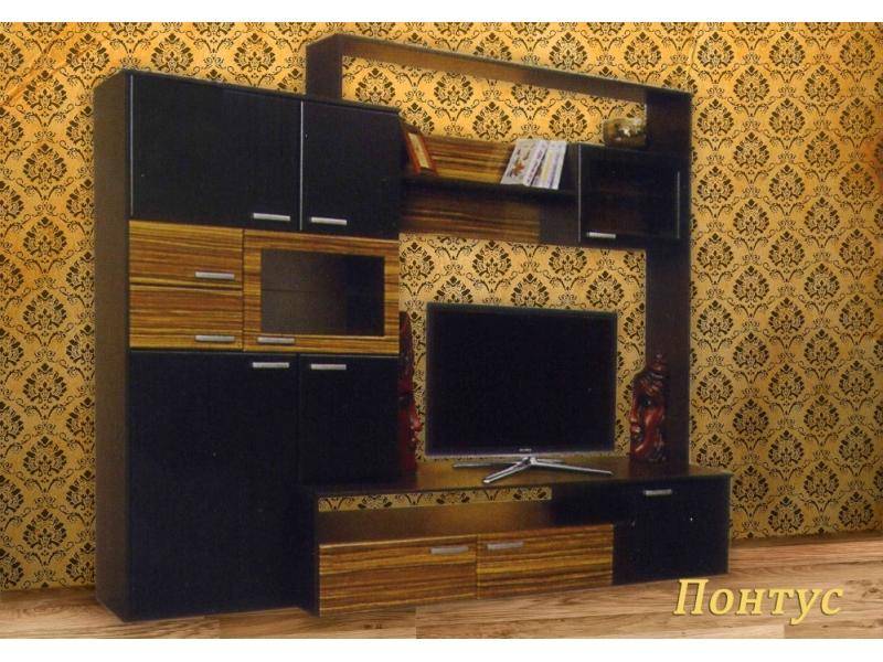 гостиная стенка понтус в Нижневартовске