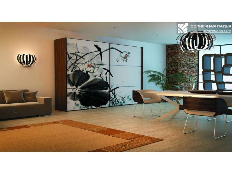 шкаф - купе для гостиной 29 в Нижневартовске