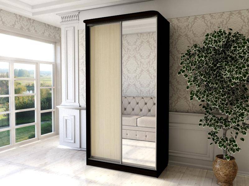 шкаф-купе с зеркалом в Нижневартовске