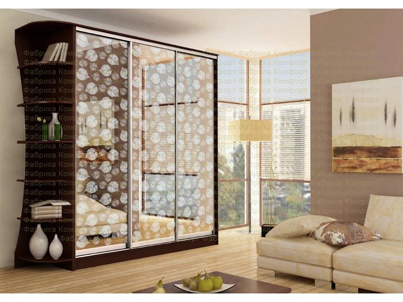 шкаф-купе аристо 14 в Нижневартовске