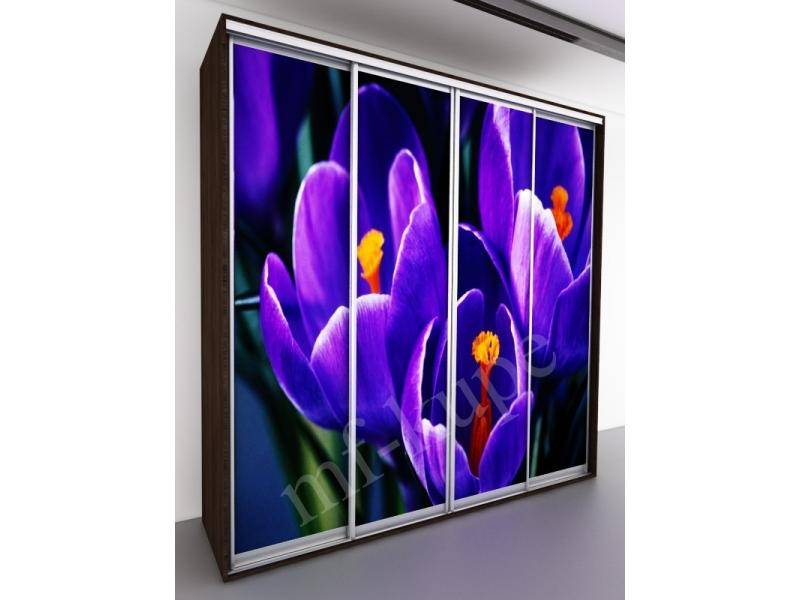 шкаф-купе бергамо violet 4 в Нижневартовске