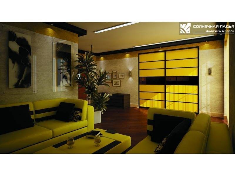 шкаф - купе для гостиной 24 в Нижневартовске