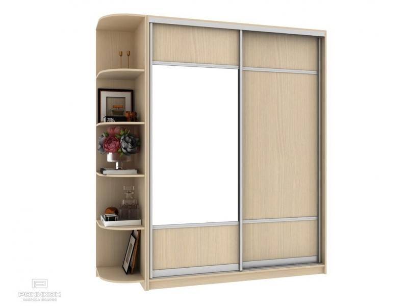 шкаф-купе премьер №10 в Нижневартовске