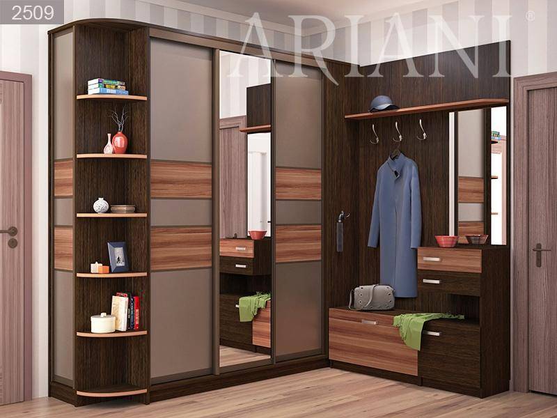 шкаф-купе с зеркалом ди сопра в прихожую в Нижневартовске