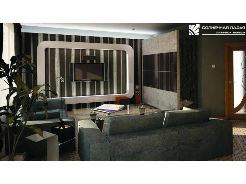 шкаф - купе для гостиной 25 в Нижневартовске