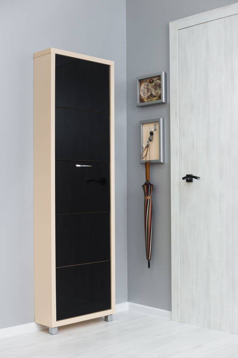 обувной шкаф 5-ти секционный люкс стекло черное в Нижневартовске