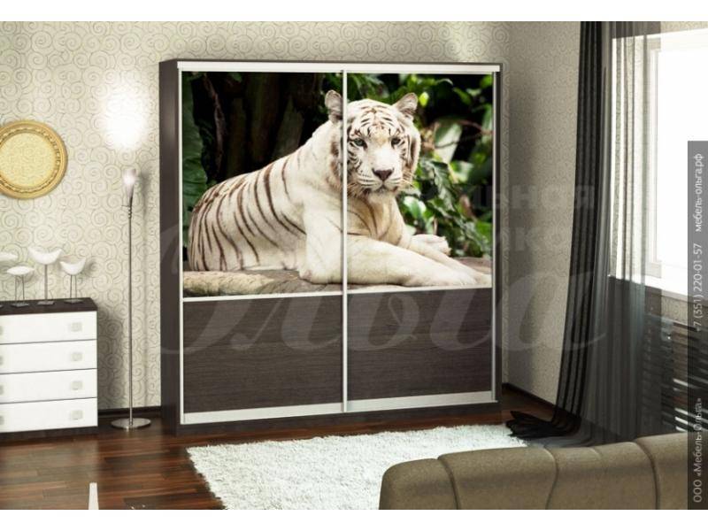 шкаф-купе конго фотопечать в Нижневартовске