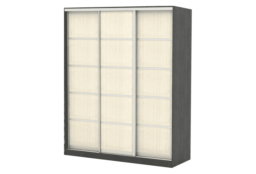 шкаф-купе меценат 3 вариант 1 в Нижневартовске