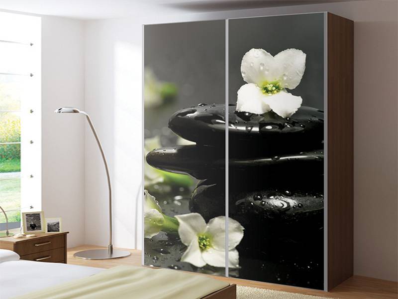 шкаф-купе бизнес с фотопечатью в Нижневартовске