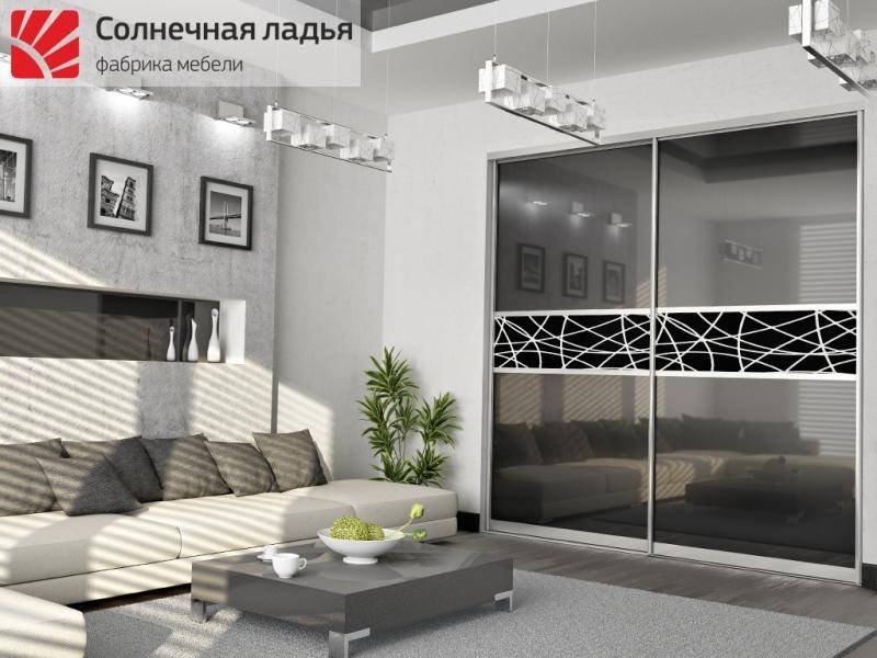 шкаф - купе для гостиной 10 в Нижневартовске