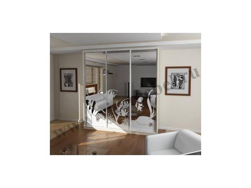 шкаф-купе с пескоструйным рисунком в Нижневартовске