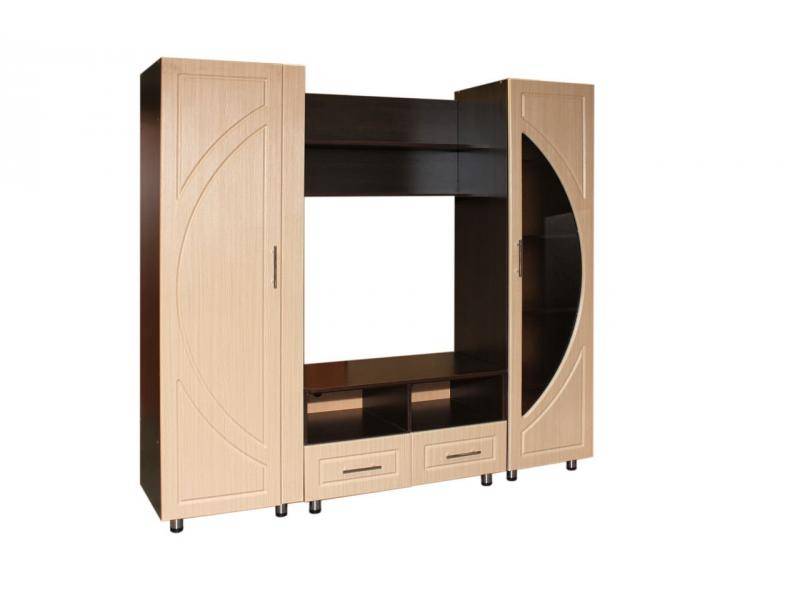 гостиная стенка тв-9 в Нижневартовске