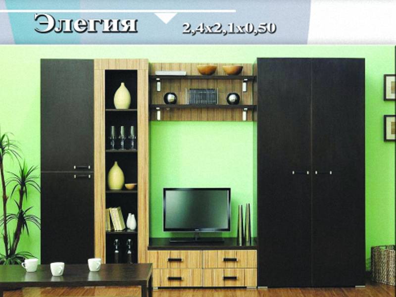 гостиная-стенка «элегия» в Нижневартовске