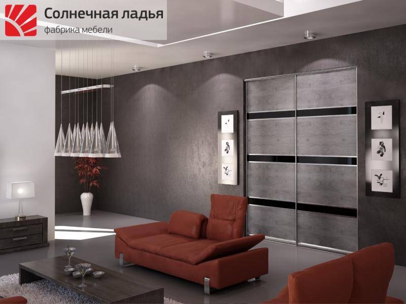 шкаф - купе для гостиной 18 в Нижневартовске