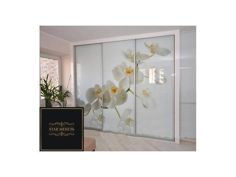 шкаф-купе со стеклянными фасадами в Нижневартовске