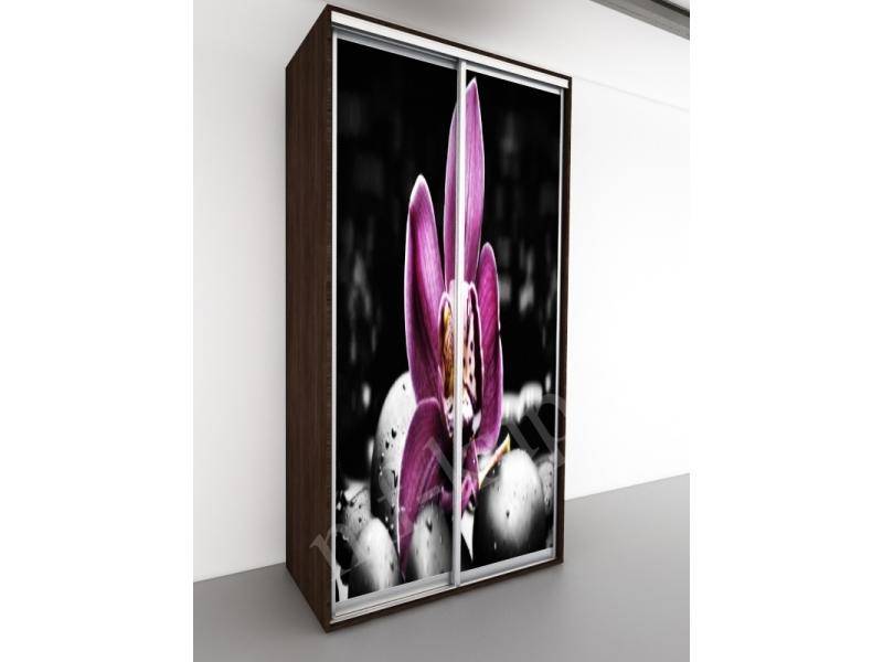 шкаф-купе орхидея-2 в Нижневартовске