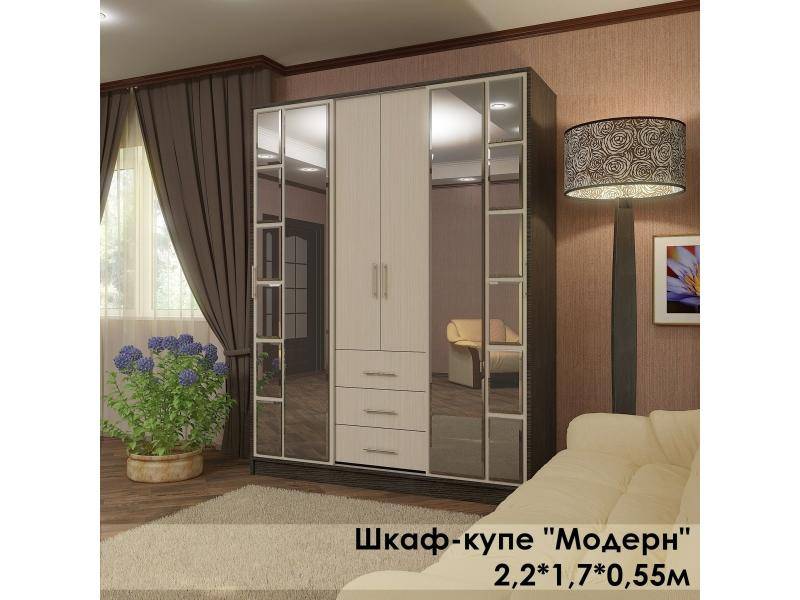 шкаф-купе в стиле модерн в Нижневартовске