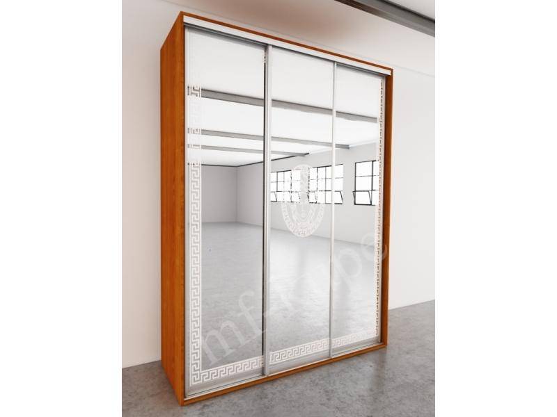 шкаф-купе флоренция-3 в Нижневартовске