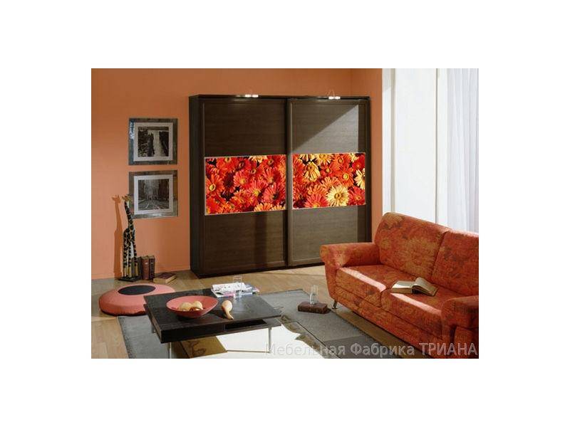 шкаф-купе с фотопечатью пи в Нижневартовске