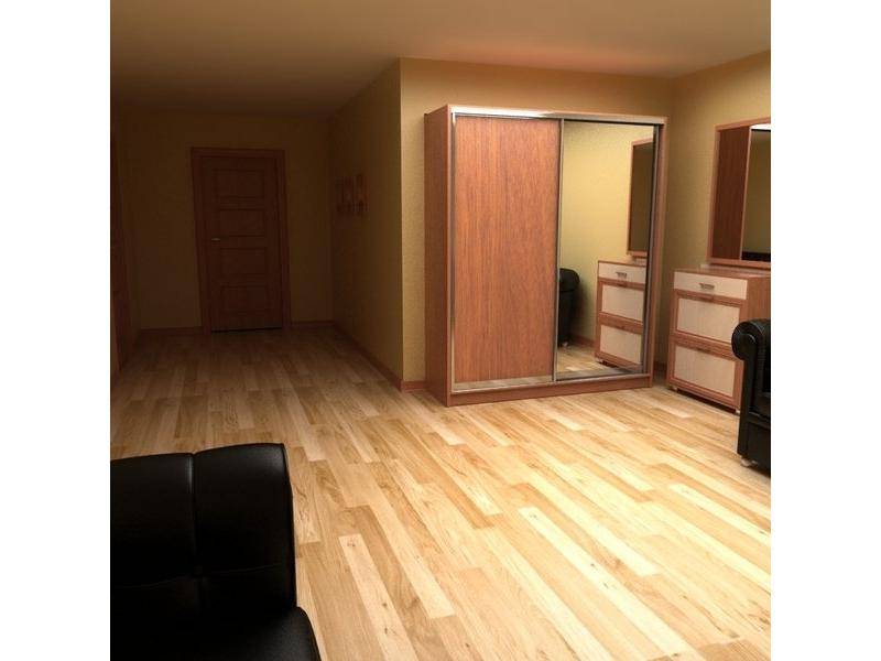 простой шкаф-купе с зеркалом в Нижневартовске